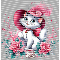 Cartoons and other-CO 521